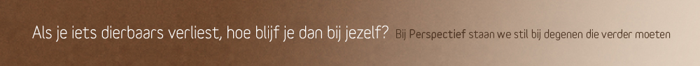 Verlies - Bij Perspectief staan we stil bij degenen die verder moeten